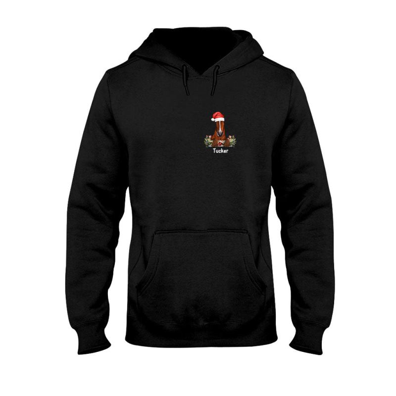 Hoodieblack 24112022610scl1cle1ch02cu02tr03tsh1hos6587.jpg