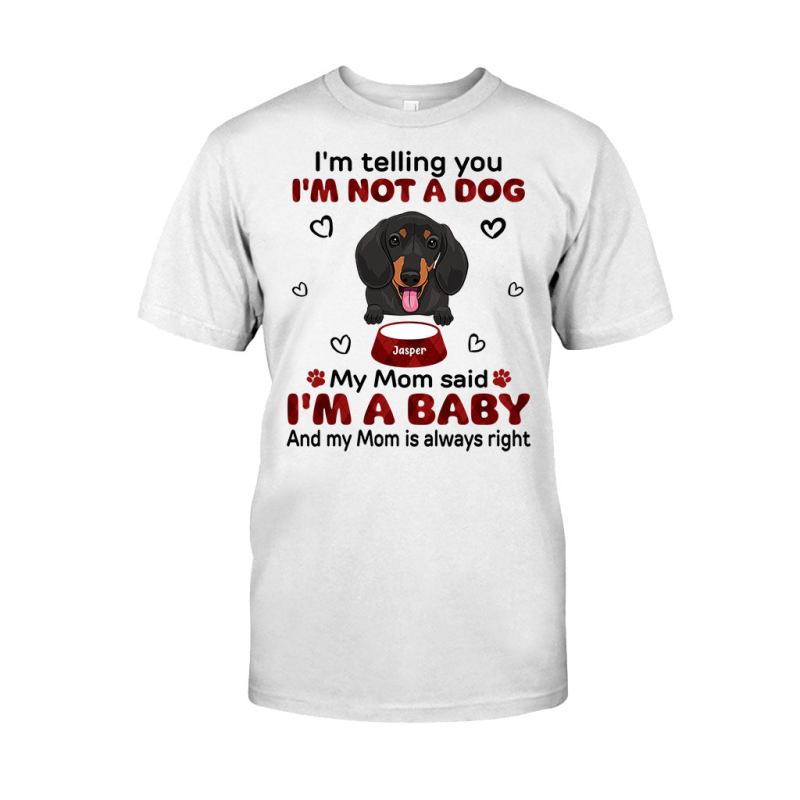 T Shirtwhite 28122022601clo1cle1ch02ha07an01tsh1dog5576.jpg